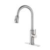 Kitchen Faucet with Pull Down Sprayer