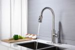 Kitchen Faucet with Pull Down Sprayer